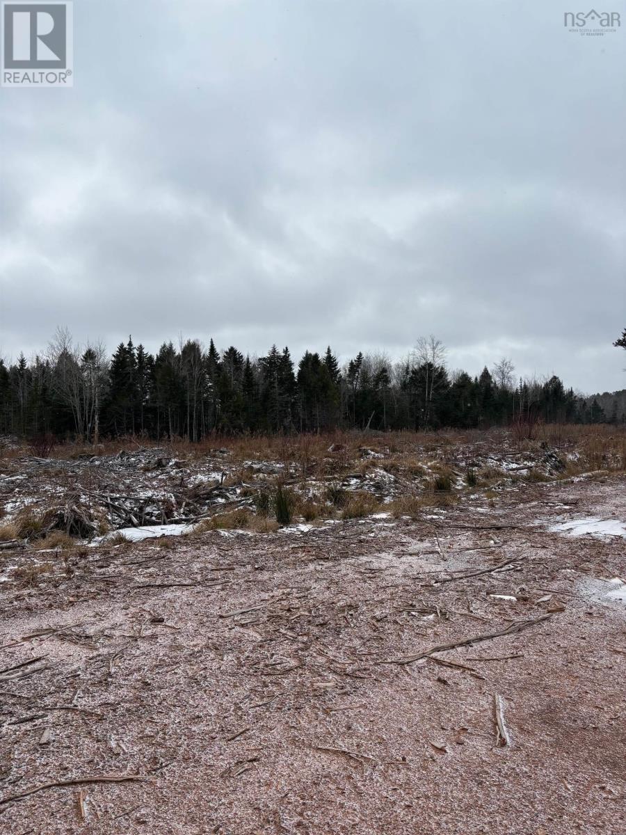 Mosher Road, Rhines Creek, Nova Scotia  B0N 2H0 - Photo 9 - 202427881