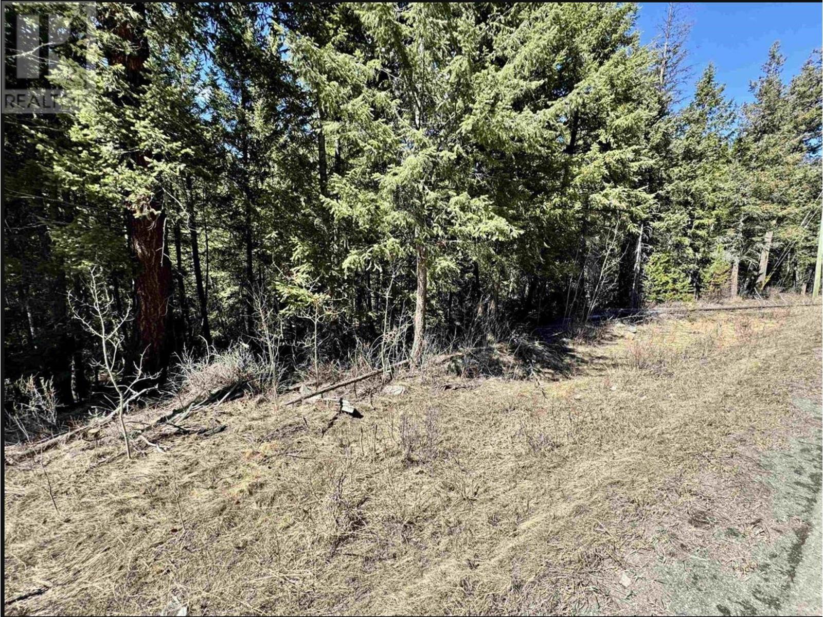 Lot B Horse Lake Road, Horse Lake, British Columbia V0K 2E3 - Photo 4 - R2953590