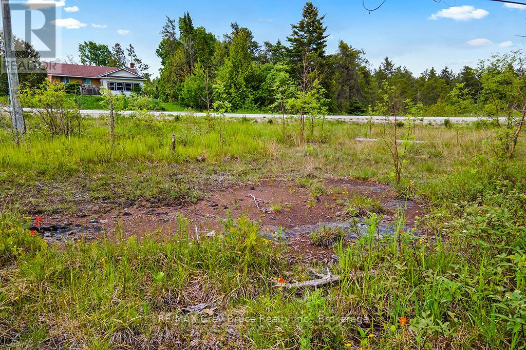 17 Dyers Bay Road, Northern Bruce Peninsula, Ontario  N0H 1Z0 - Photo 13 - X11911822