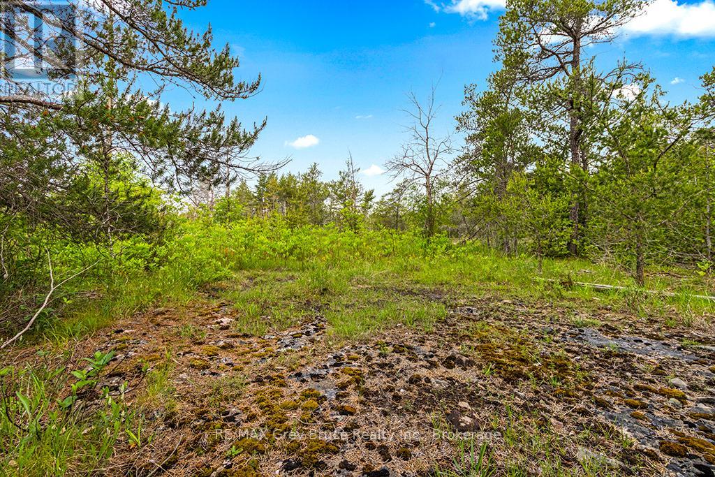 17 Dyers Bay Road, Northern Bruce Peninsula, Ontario  N0H 1Z0 - Photo 14 - X11911822