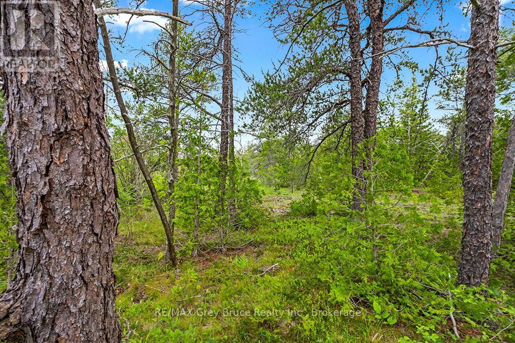17 Dyers Bay Road, Northern Bruce Peninsula, Ontario  N0H 1Z0 - Photo 15 - X11911822