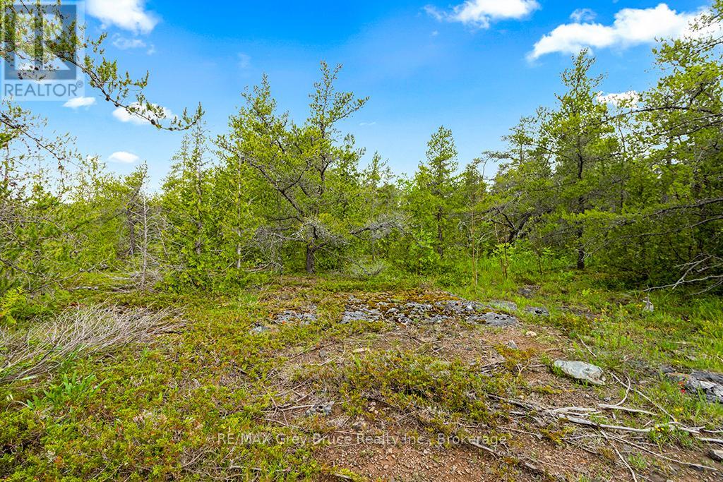 17 Dyers Bay Road, Northern Bruce Peninsula, Ontario  N0H 1Z0 - Photo 21 - X11911822