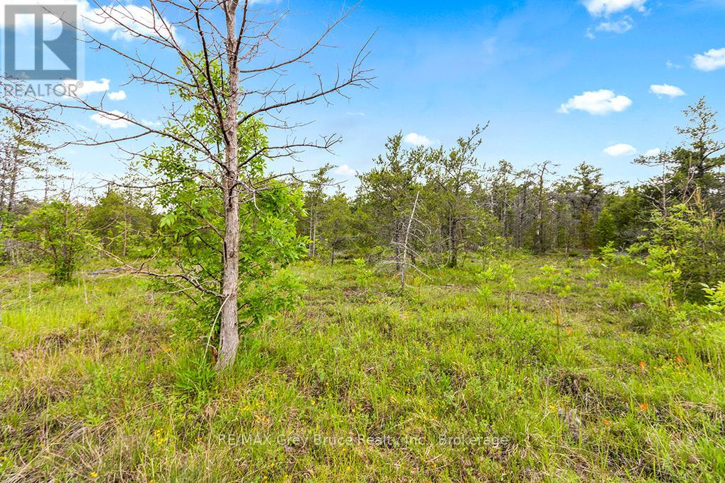 17 Dyers Bay Road, Northern Bruce Peninsula, Ontario  N0H 1Z0 - Photo 29 - X11911822