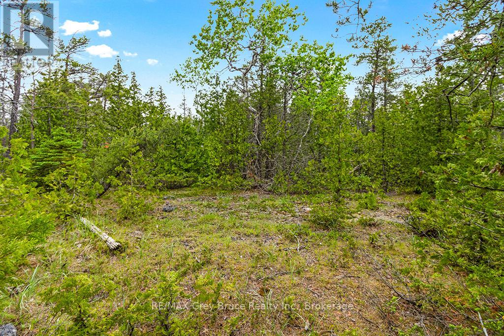 17 Dyers Bay Road, Northern Bruce Peninsula, Ontario  N0H 1Z0 - Photo 31 - X11911822
