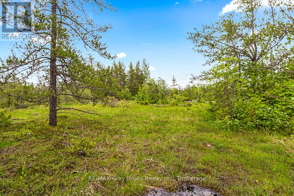 17 Dyers Bay Road, Northern Bruce Peninsula, Ontario  N0H 1Z0 - Photo 4 - X11911822