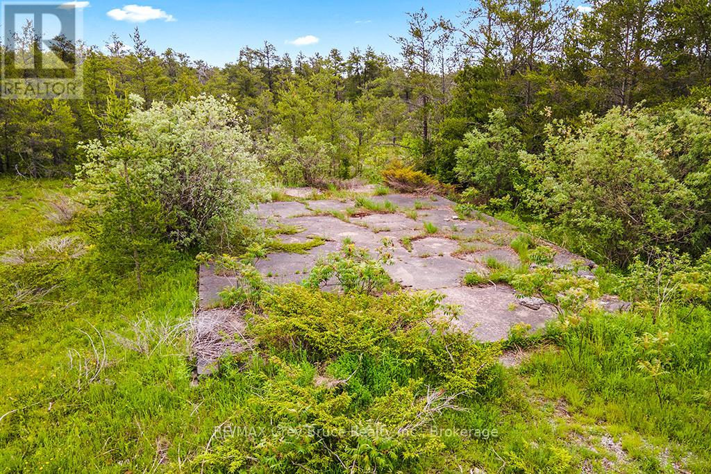 17 Dyers Bay Road, Northern Bruce Peninsula, Ontario  N0H 1Z0 - Photo 6 - X11911822