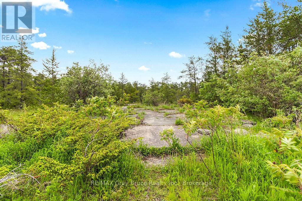 17 Dyers Bay Road, Northern Bruce Peninsula, Ontario  N0H 1Z0 - Photo 7 - X11911822