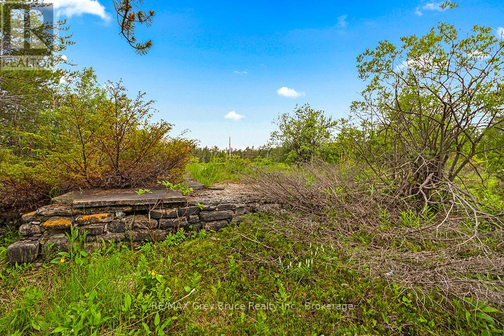 17 Dyers Bay Road, Northern Bruce Peninsula, Ontario  N0H 1Z0 - Photo 9 - X11911822