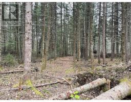 Parcel 7576 Unsurveyed Territory|South of Borups Corner, Ontario, Dinorwic, Ontario