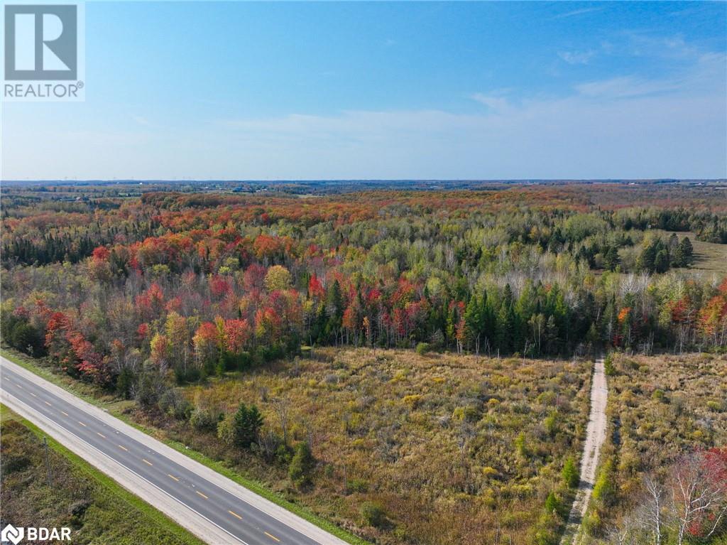 793510 County Rd 124, Grey Highlands, Ontario  N0C 1M0 - Photo 10 - 40688145