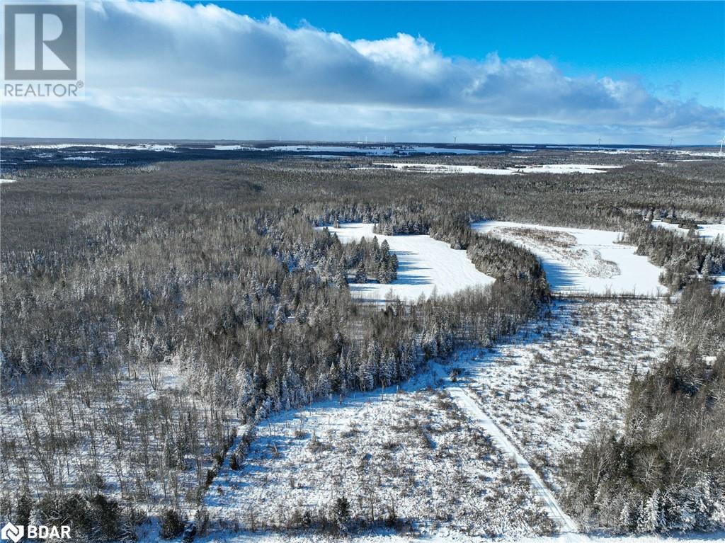 793510 County Rd 124, Grey Highlands, Ontario  N0C 1M0 - Photo 16 - 40688145