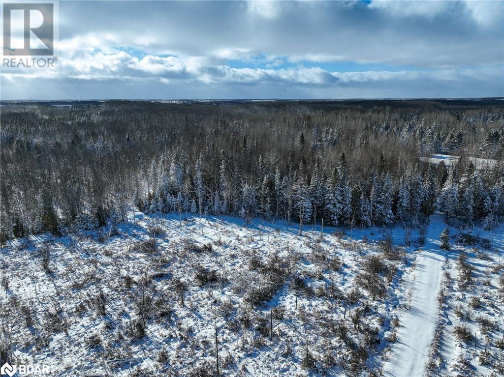793510 County Rd 124, Grey Highlands, Ontario  N0C 1M0 - Photo 18 - 40688145
