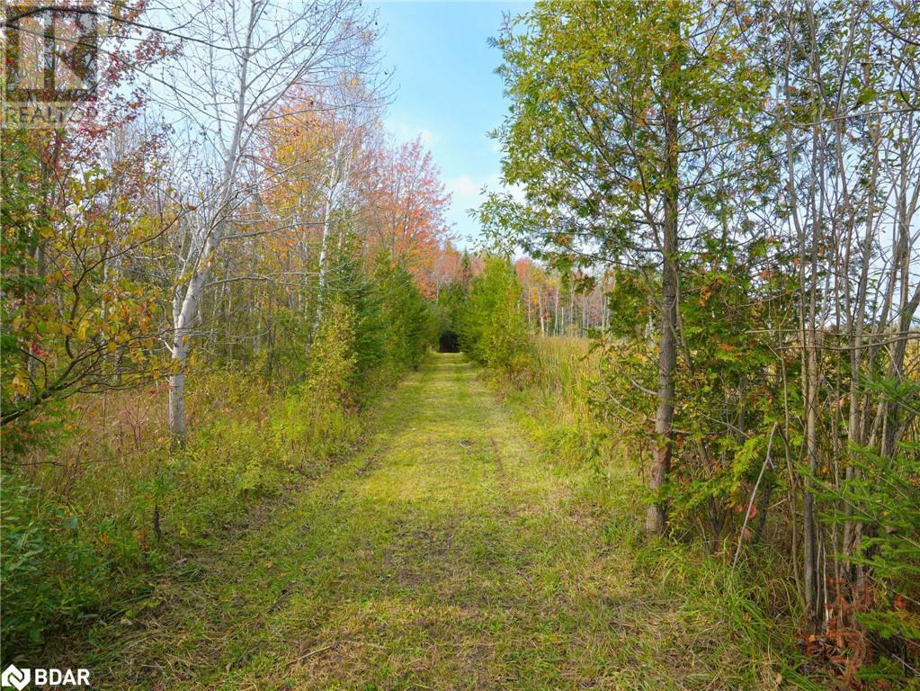 793510 County Rd 124, Grey Highlands, Ontario  N0C 1M0 - Photo 5 - 40688145