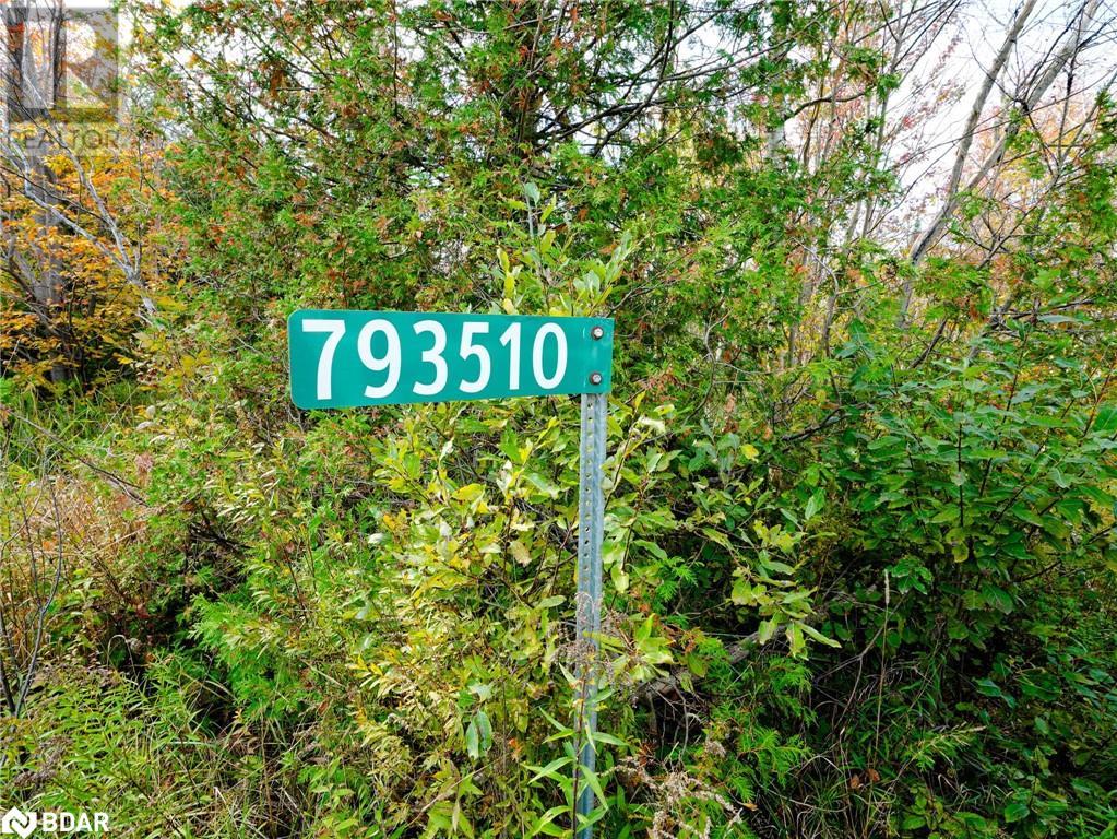 793510 County Rd 124, Grey Highlands, Ontario  N0C 1M0 - Photo 6 - 40688145