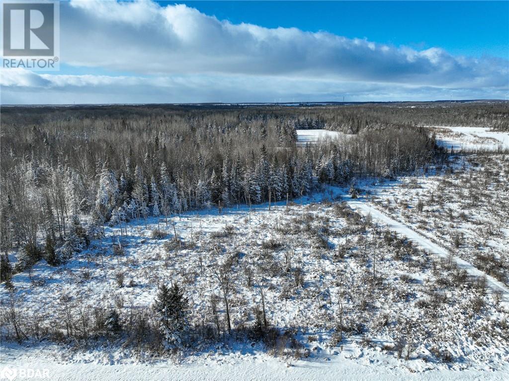 793510 County Rd 124, Grey Highlands, Ontario  N0C 1M0 - Photo 7 - 40688145