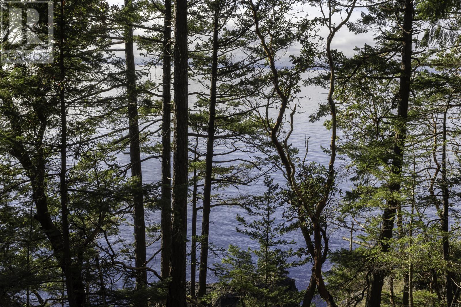 1860 Lighthouse Lane, Bowen Island, British Columbia  V0N 1G2 - Photo 8 - R2953111