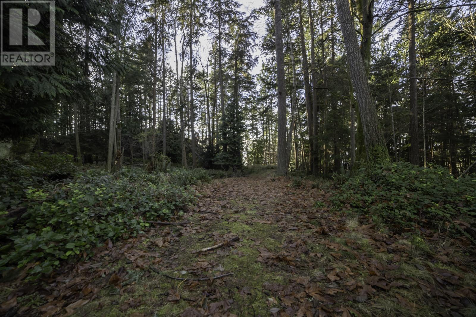 1860 Lighthouse Lane, Bowen Island, British Columbia  V0N 1G2 - Photo 3 - R2953111