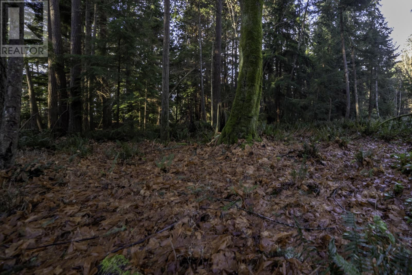 1860 Lighthouse Lane, Bowen Island, British Columbia  V0N 1G2 - Photo 4 - R2953111