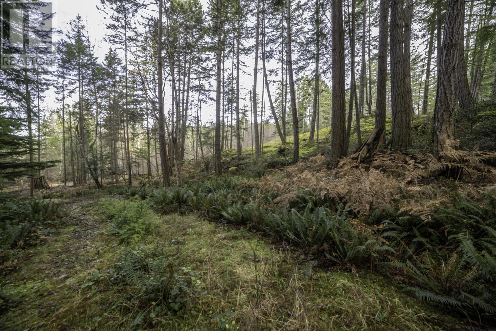 1805 Cape Drive, Bowen Island, British Columbia V0N 1G2 - Photo 7 - R2953181