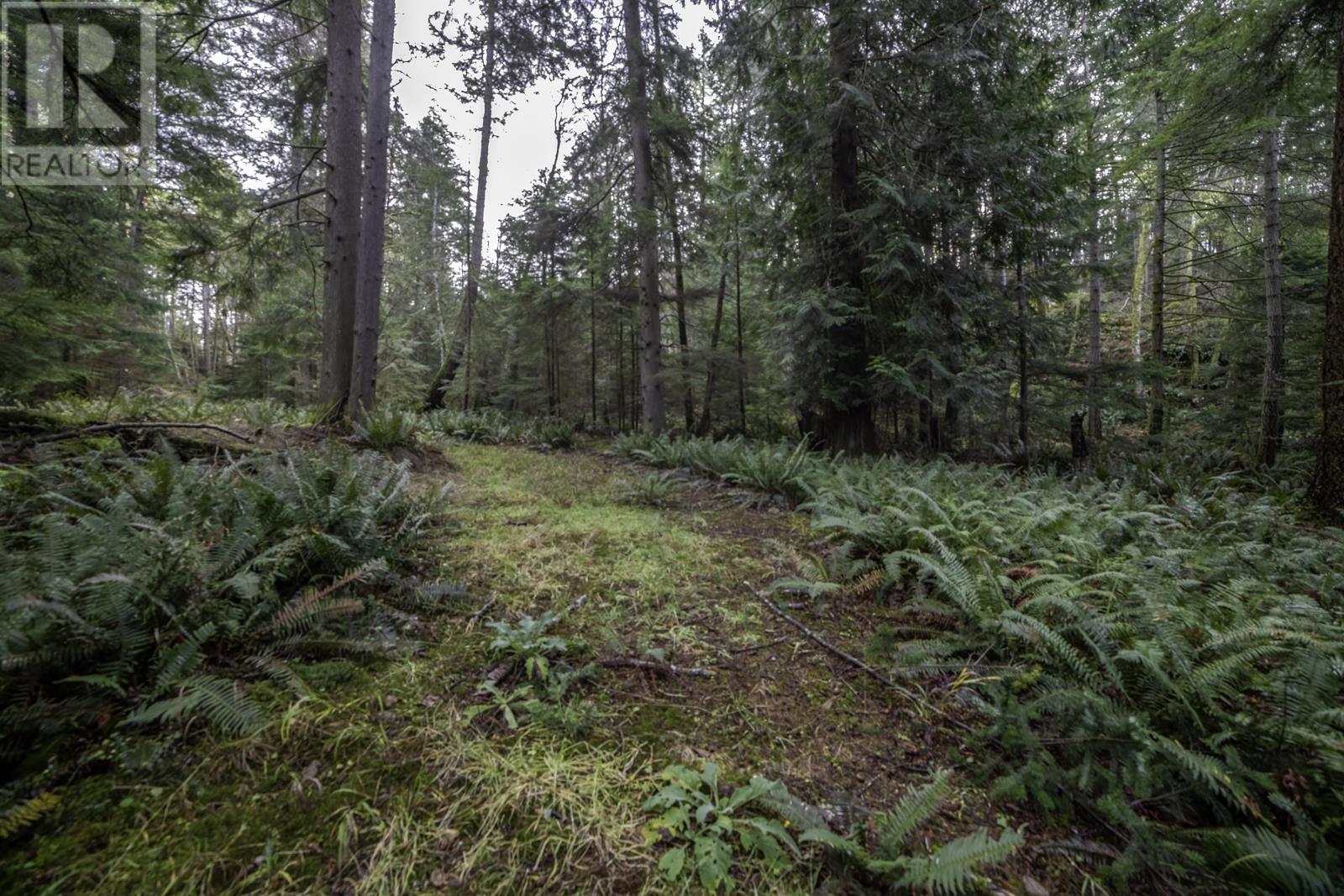 1805 Cape Drive, Bowen Island, British Columbia V0N 1G2 - Photo 8 - R2953181