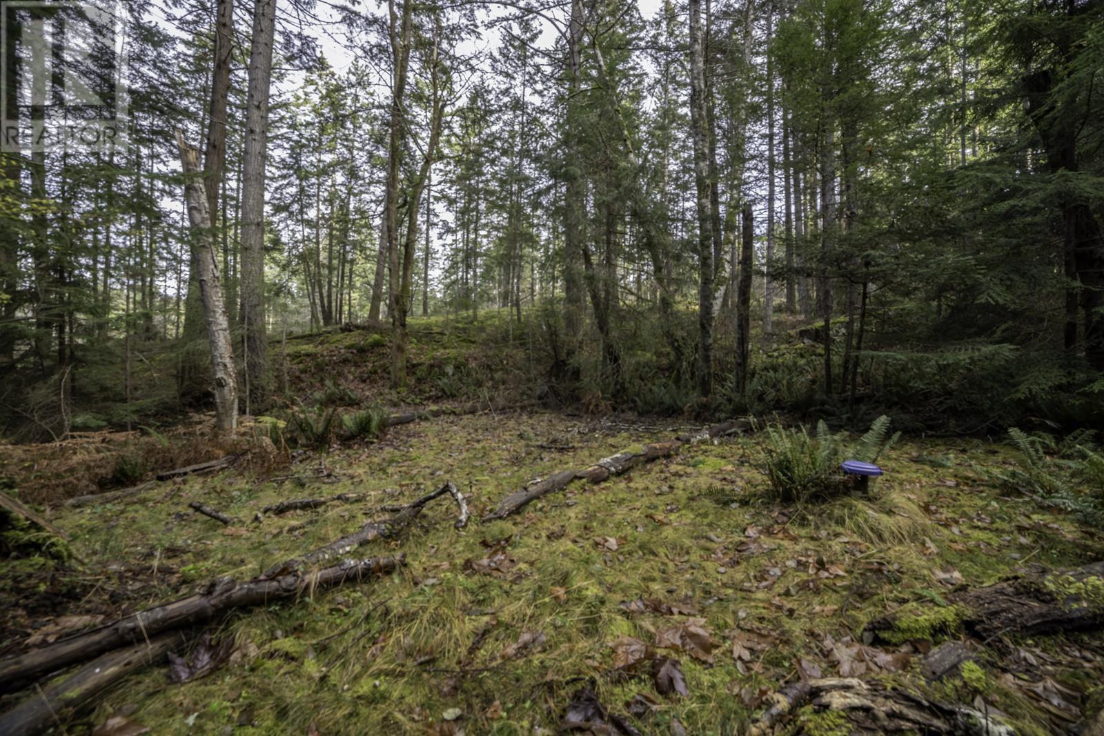 1805 Cape Drive, Bowen Island, British Columbia V0N 1G2 - Photo 9 - R2953181