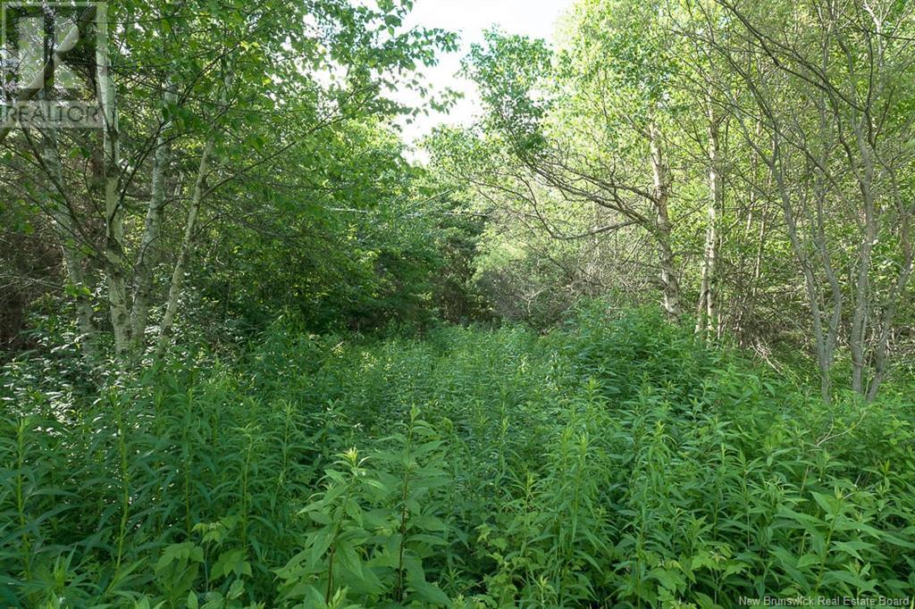 Na Back Settlement Road, Upperton, New Brunswick  E4E 3Z3 - Photo 15 - NB110780