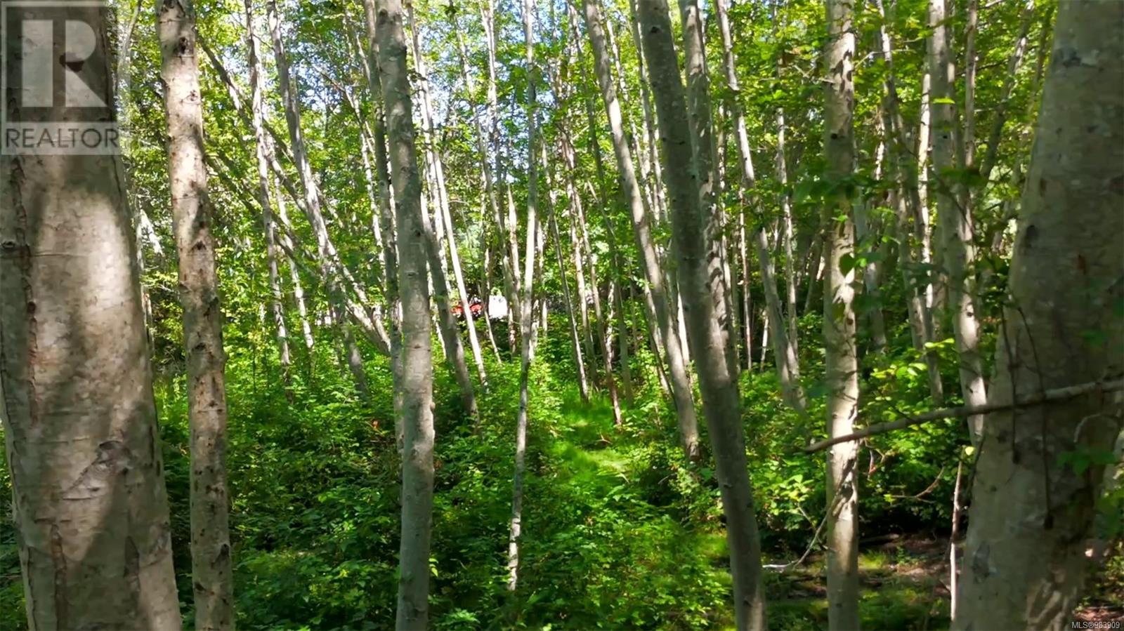 2433 Summerset Rd, Nanoose Bay, British Columbia V9P 9E4 - Photo 21 - 983909