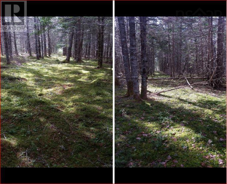 570 County Line Road, Cleveland, Nova Scotia  B0E 1J0 - Photo 16 - 202425132