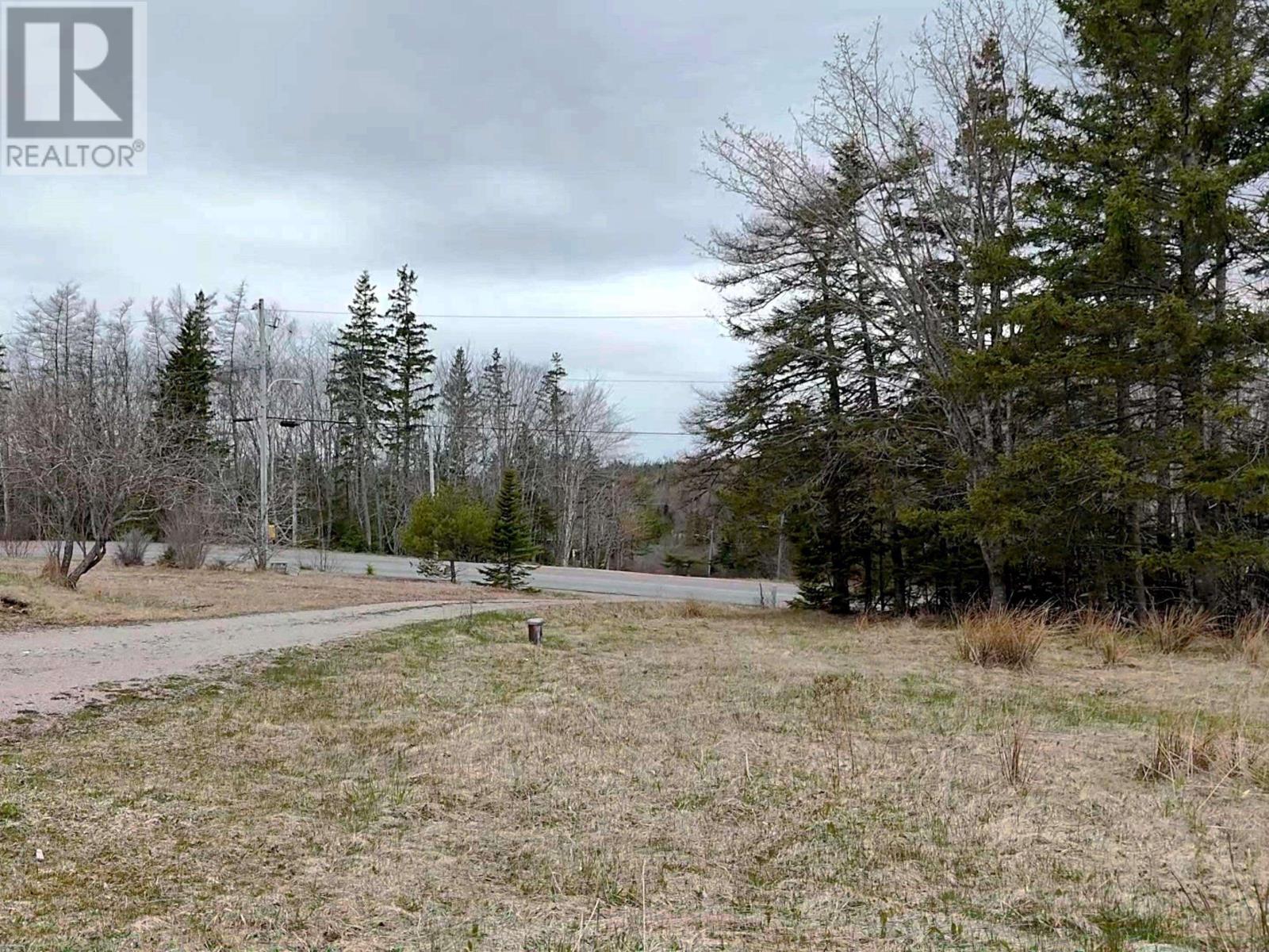 570 County Line Road, Cleveland, Nova Scotia  B0E 1J0 - Photo 3 - 202425132