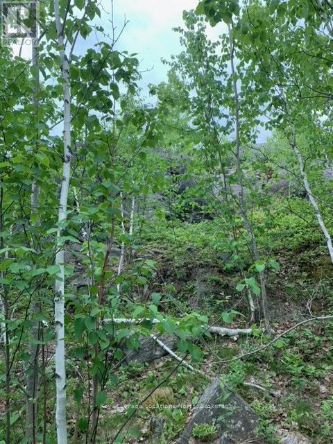 8250 Fire Route 0 Road, Greater Sudbury, Ontario  P0M 1B0 - Photo 38 - X11912312