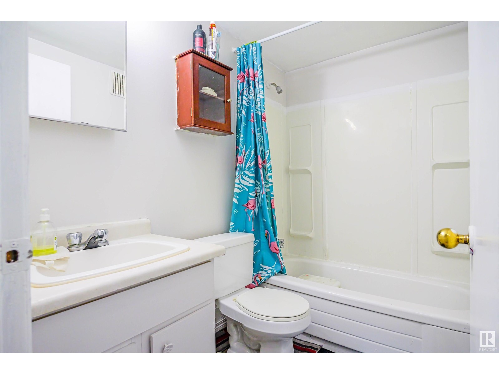 8437 29 Av Nw, Edmonton, Alberta  T6K 3M8 - Photo 11 - E4417307