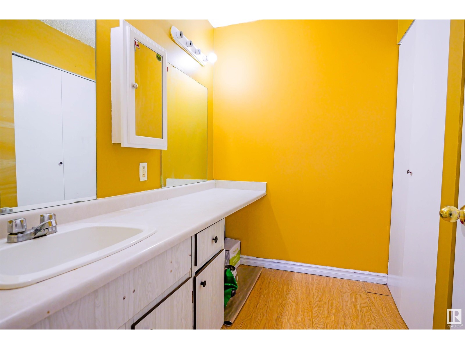 8437 29 Av Nw, Edmonton, Alberta  T6K 3M8 - Photo 18 - E4417307
