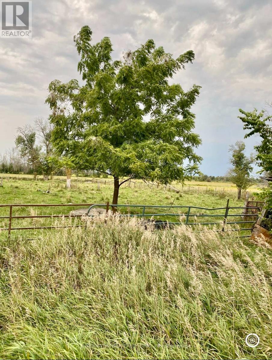 5944 10th Line, Essa, Ontario  L0L 2N2 - Photo 4 - N11912434