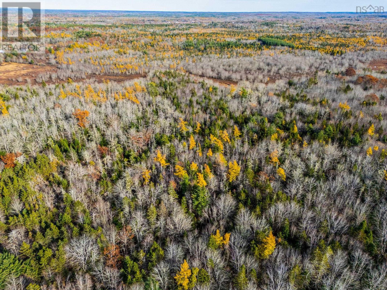 Lot 7, 7c Lac A Pic Road, Quinan, Nova Scotia  B0W 3M0 - Photo 6 - 202500384