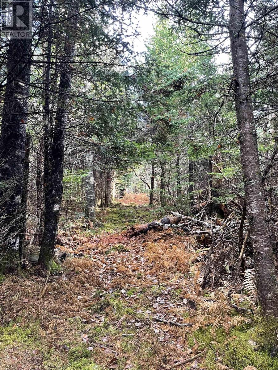 East Petpeswick Road, East Petpeswick, Nova Scotia  B0J 2L0 - Photo 11 - 202420101