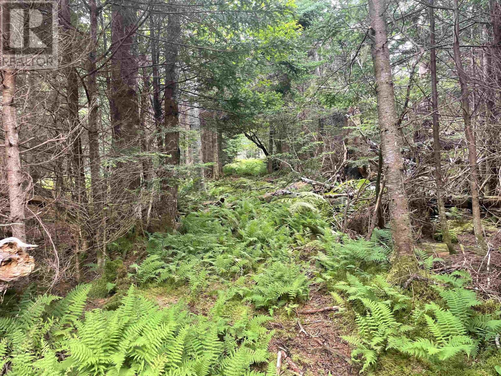 East Petpeswick Road, East Petpeswick, Nova Scotia  B0J 2L0 - Photo 12 - 202420101