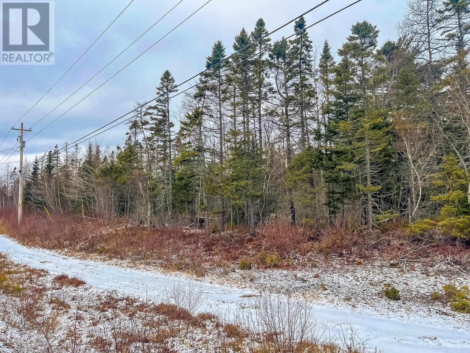 Lot 42 Haines 2 Road, Baker Settlement, Nova Scotia  B4V 7V7 - Photo 3 - 202404555