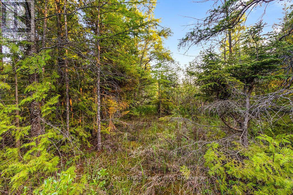 Unit 39 Tamarac Road, Northern Bruce Peninsula, Ontario  N0H 2M0 - Photo 24 - X11913101