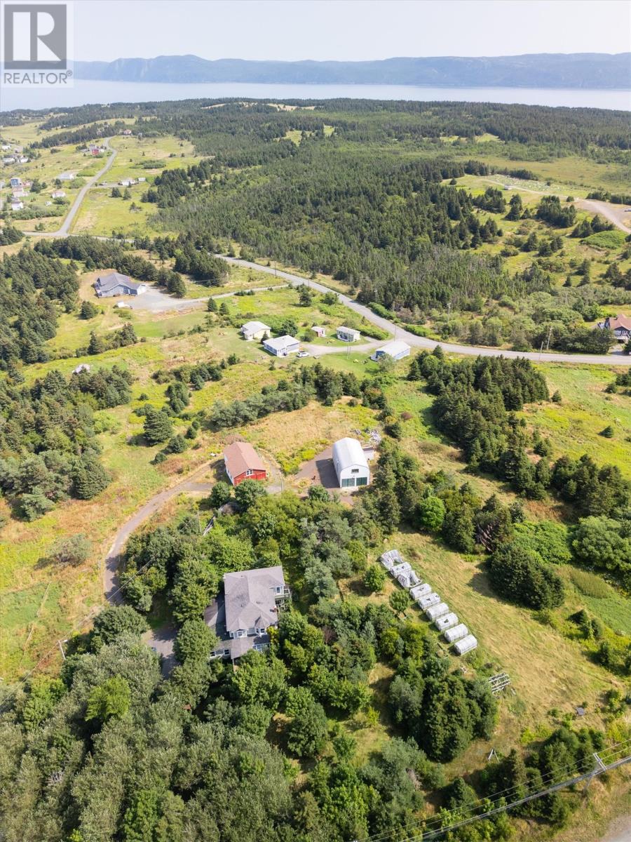 48 Main Road, Wabana, Newfoundland & Labrador  A0A 4H0 - Photo 41 - 1280656