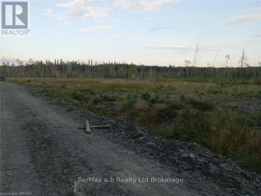 N/a N/a Road, Timiskaming Remote Area, Ontario  P0J 1H0 - Photo 6 - T10745051