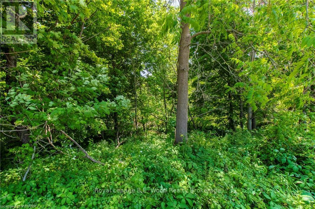164960 New Road, Norwich, Ontario  N4G 4G7 - Photo 5 - X10746320