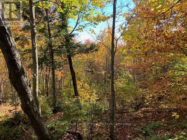 0 Sugar Bush Road E, Magnetawan, Ontario  P0A 1P0 - Photo 16 - X11913453
