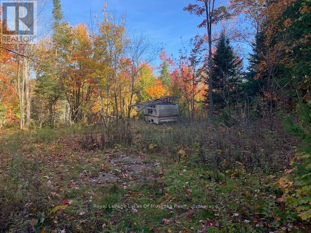 0 Sugar Bush Road E, Magnetawan, Ontario  P0A 1P0 - Photo 9 - X11913453