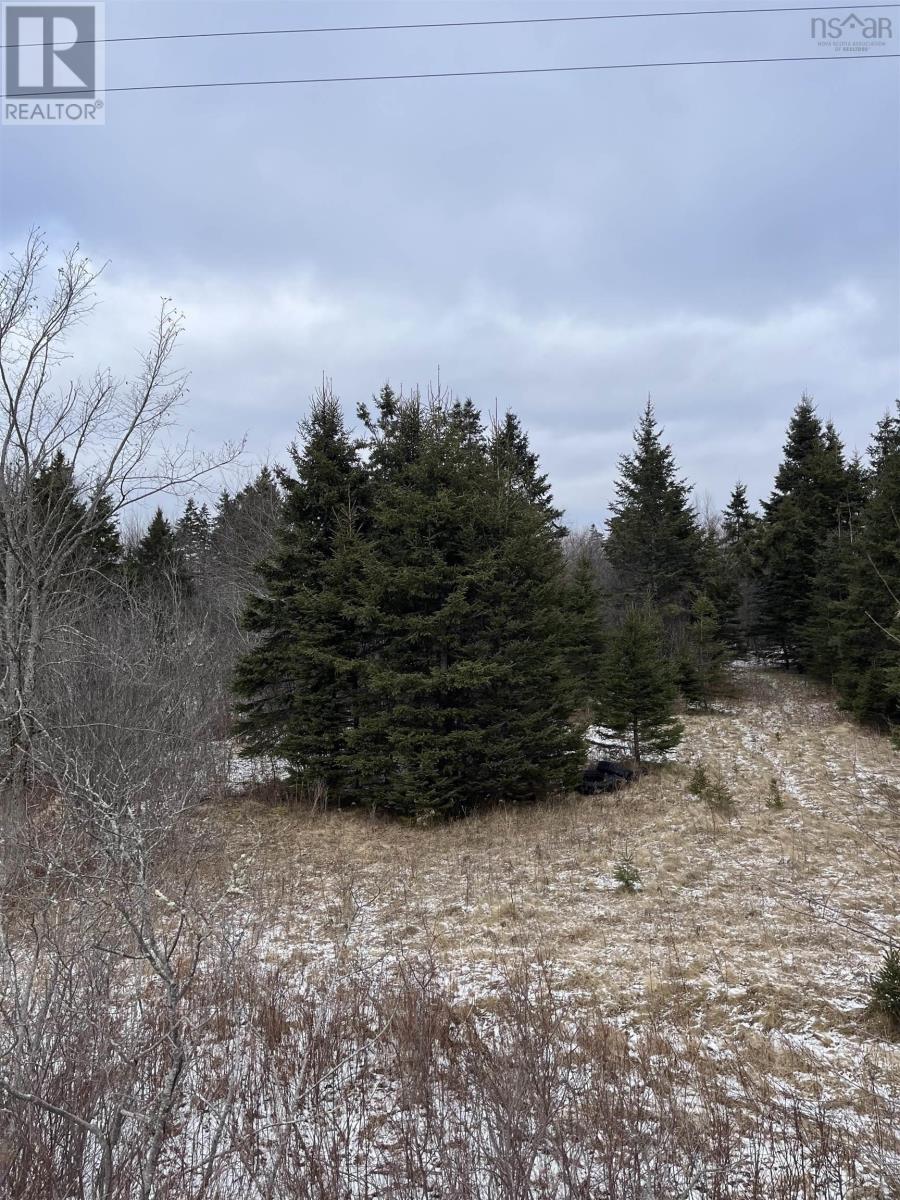 12524 Highway 224, Middle Musquodoboit, Nova Scotia  B0N 1X0 - Photo 8 - 202500441
