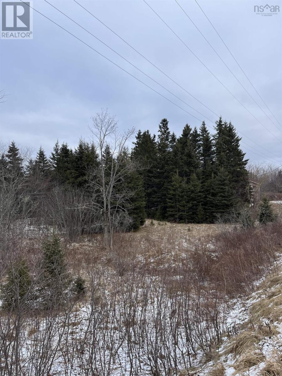 12524 Highway 224, Middle Musquodoboit, Nova Scotia  B0N 1X0 - Photo 9 - 202500441