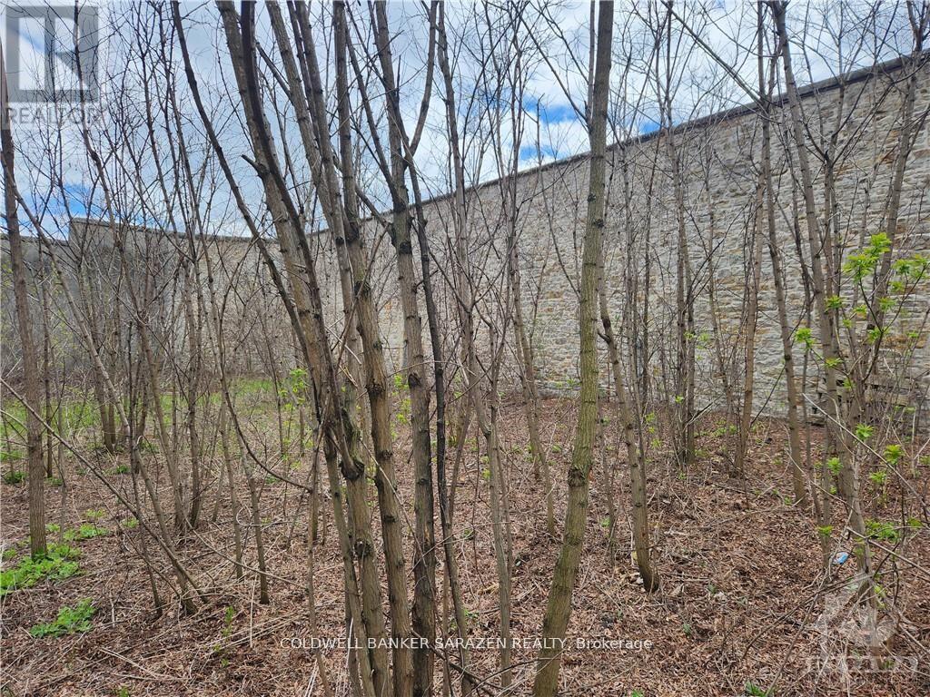 62 Beckwith Street E, Perth, Ontario  K7H 2H9 - Photo 5 - X11913787