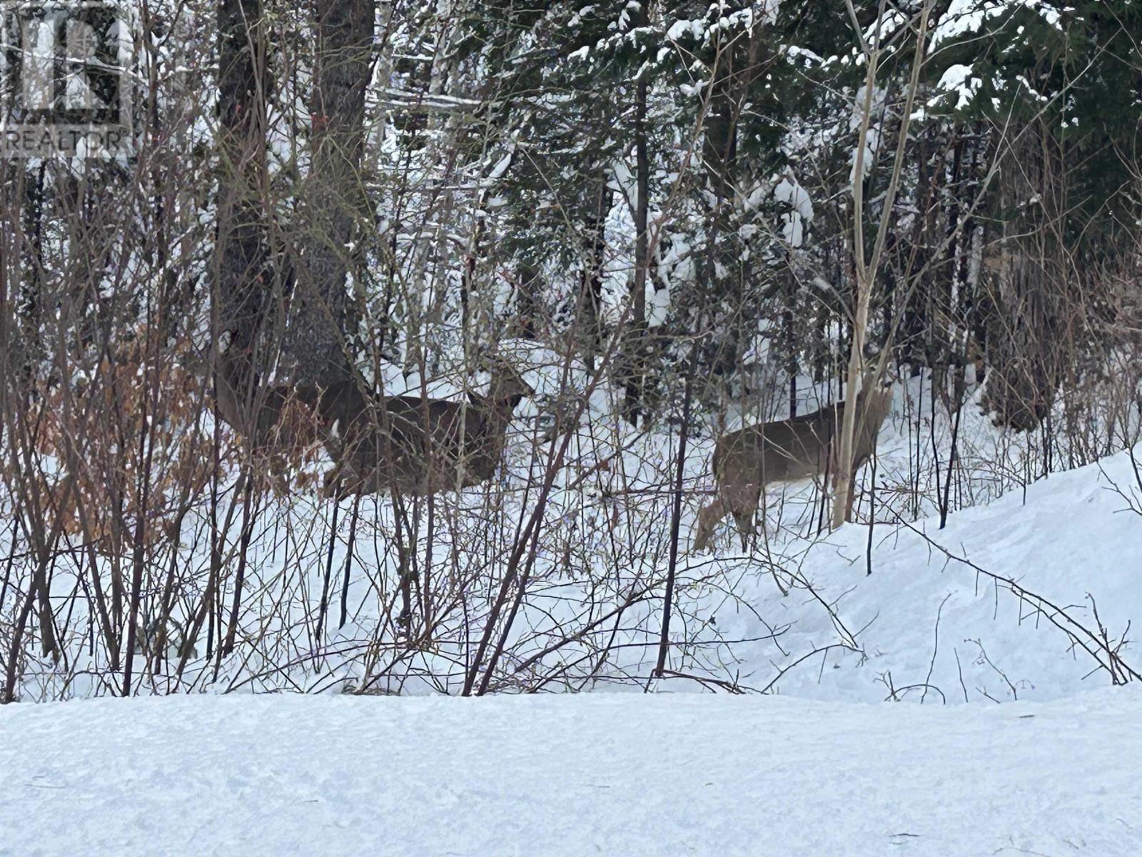 62 White Tail Pass, Vaughan, Nova Scotia  B0N 2T0 - Photo 27 - 202500464