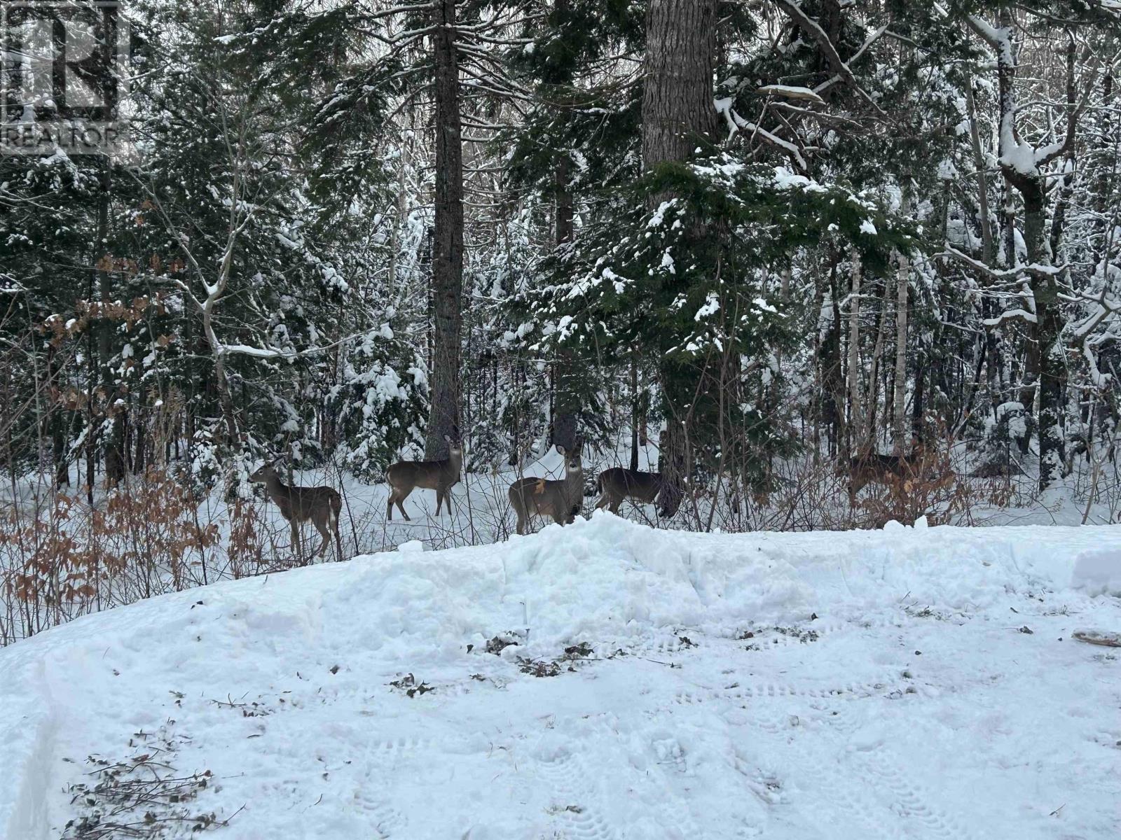 62 White Tail Pass, Vaughan, Nova Scotia  B0N 2T0 - Photo 28 - 202500464