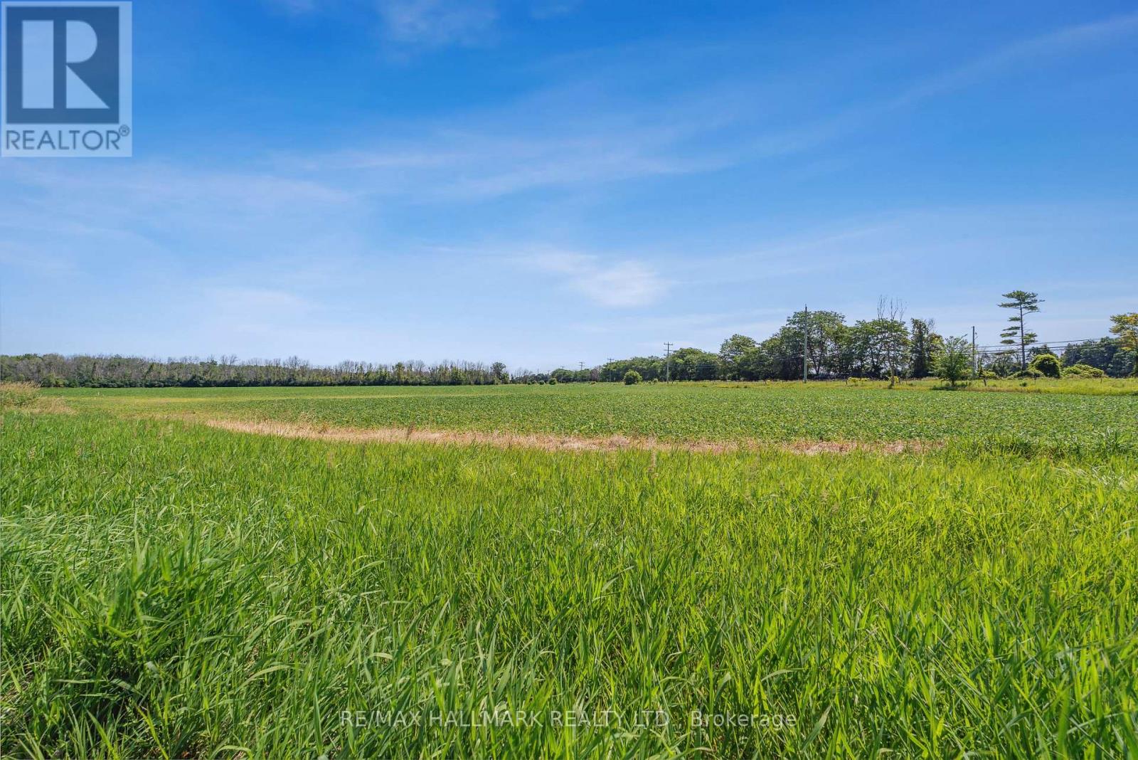 29018 Highway 48, Georgina, Ontario  L0E 1N0 - Photo 31 - N11914628