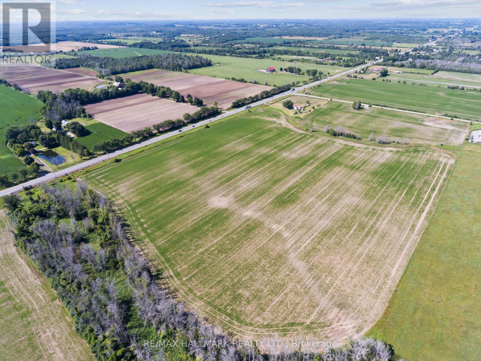 29018 Highway 48, Georgina, Ontario  L0E 1N0 - Photo 4 - N11914628